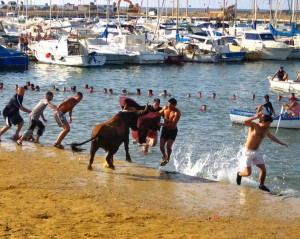 Ein Stier während der "Bous a la Mar"