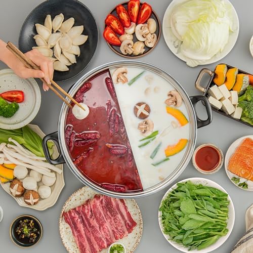 Double the Flavor, Double the Fun: Aroma Housewares Shabu Hot Pot Review插图1