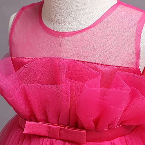 Review: HNXDYY Baby Girl Tulle Dress – Affordable Princess Attire for Your Little One插图1