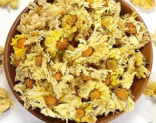 Blooming Delight: Greenlike DRIED CHRYSANTHEMUM Wild Chrysanthemum Flower Review插图1