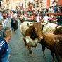 Lerne Sprachen in Pamplona in Spanien.