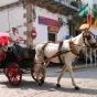 Cours de langues à Toutes les villes en Espagne.