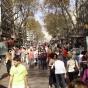 Les écoles de langues en Espagne à À côté de la mer.