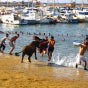 Estudo de idiomas em Denia na Espanha.